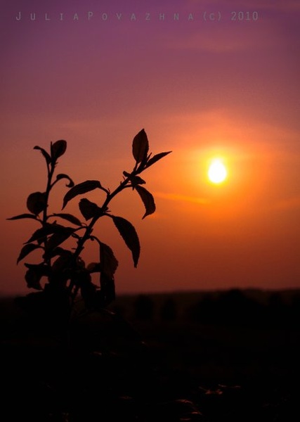 Смак життя.... або більше неба тільки мрія....