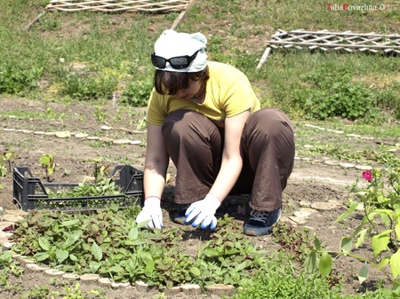 ВОЛОНТЕРУЙ ЗІ МНОЮ!