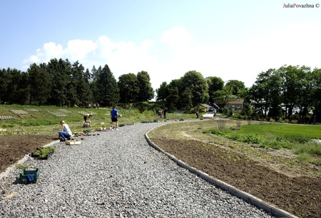 ВОЛОНТЕРУЙ ЗІ МНОЮ!